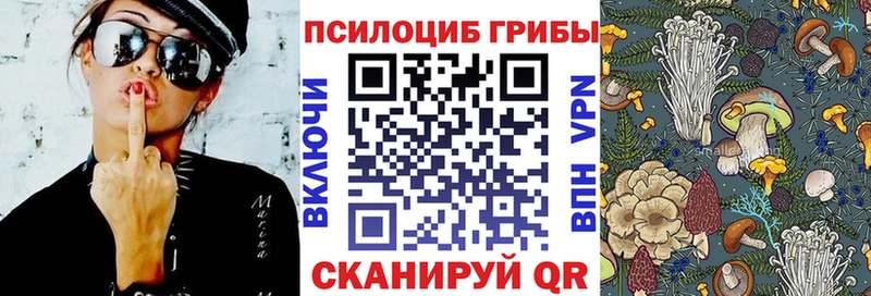 Псилоцибиновые грибы ЛСД  hydra ССЫЛКА  Кушва  купить наркотик 